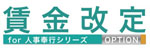 賃金改定－オプション